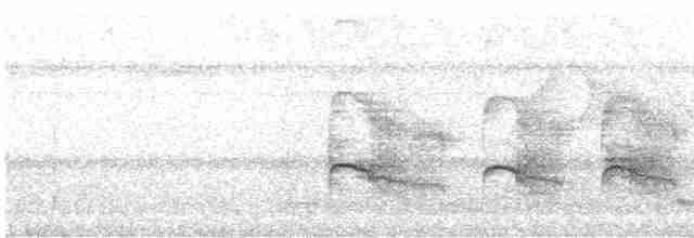 Crescent-chested Puffbird - ML177461961