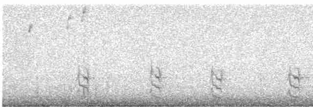 Méliphage à tête grise - ML177523851