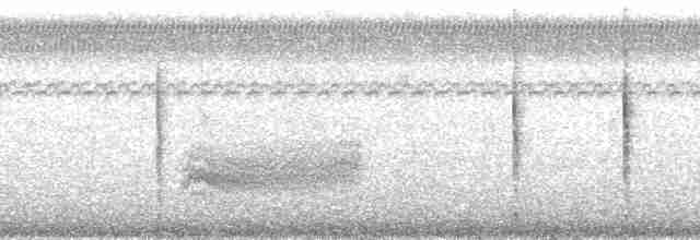 Limnornis à bec courbe - ML177553