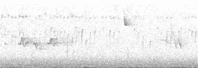 Gri Tepeli Baştankara - ML177569511