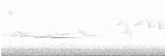 Тимелія-куцохвіст велика (підвид albiventer/pallidior) - ML177569621