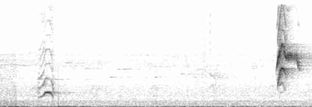Пересмішник білочеревий - ML177596