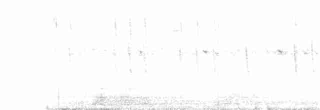 Slender-tailed Woodstar - ML177670581