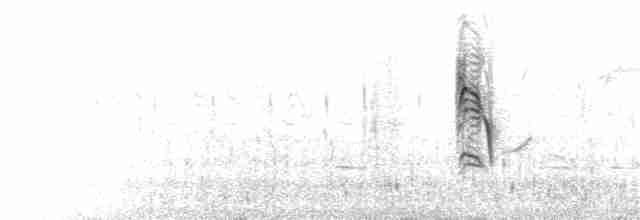 Turuncu Göğüslü Nektarkuşu - ML177673971