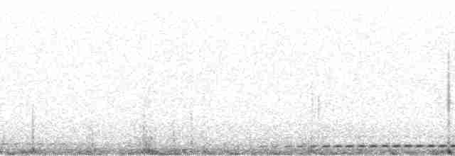Dalgalı Yerçavuşu - ML17768
