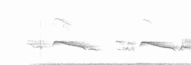 Дідрик смугастощокий (підвид plagosus) - ML177708621