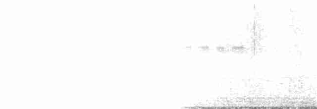 Long-tailed Shrike - ML177715691
