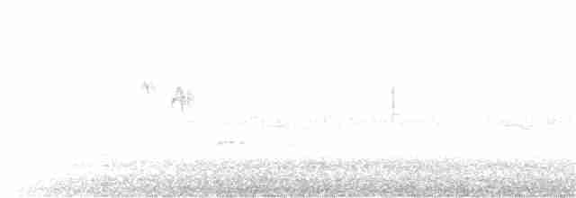 strakapoud osikový (ssp. pubescens/medianus) - ML177718671