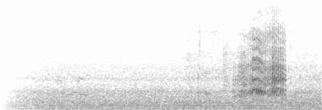 紐澳紅嘴鷗(novaehollandiae/forsteri) - ML177749961