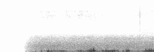 Пересмішник патагонський - ML177883761