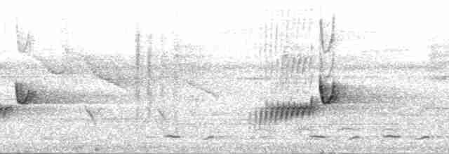 Grauschneidervogel - ML177887
