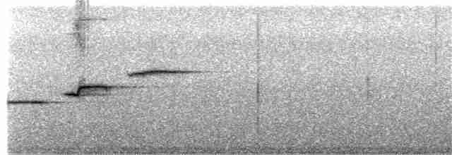 Дрізд-короткодзьоб сірий - ML177887161