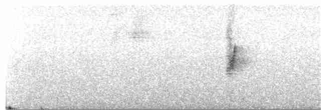 Бледноногая ласточка - ML177889211