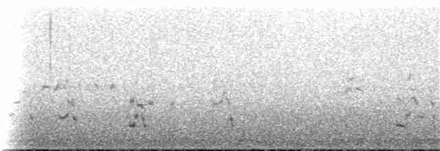 orel bělohlavý - ML177913011