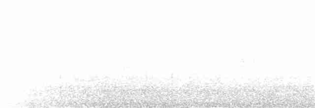 Сероголовая щетинкоклювка - ML177947451