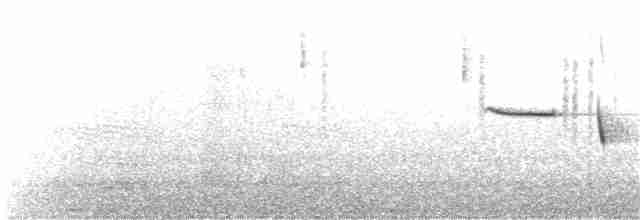 Tüpfelborstenvogel - ML177947491