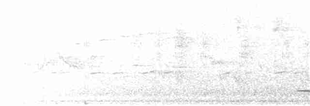 Серогрудый питуи - ML177954731