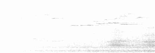 Віялохвістка сиза (підвид albiscapa) - ML177954741