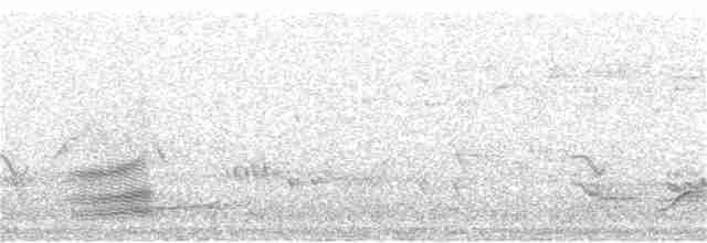 Тасманийский ворон - ML177954761