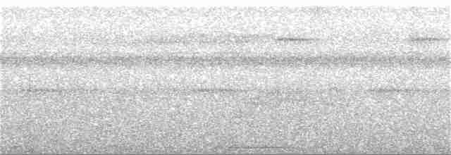 Kara Gagalı Sinekkapan - ML178013611
