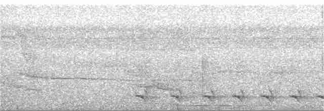 Светлобрюхий колибри-отшельник - ML178013651