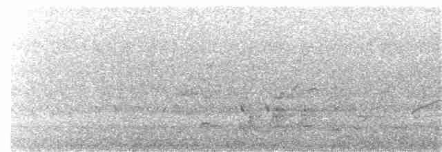 Серогрудая дриада - ML178025021