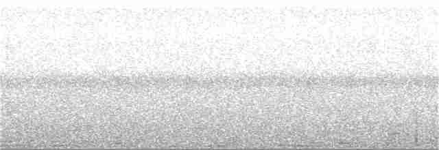 Lyre-tailed Nightjar - ML178055221