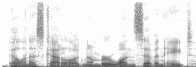 Kestane Sırtlı Tangara - ML178138