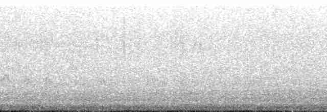 Kaya Sinekkapanı (bellicosa/pallidior) - ML178146