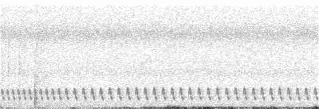 Square-tailed Nightjar - ML178180601