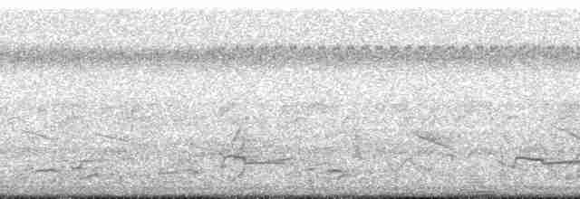 Slender-billed Kite - ML178224