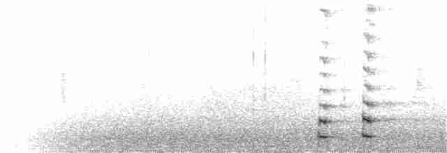 Common Gallinule - ML178228181
