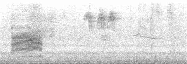 Spotted Towhee (oregonus Group) - ML178257311