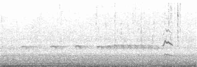 Chaparralgrasmücke - ML178260871