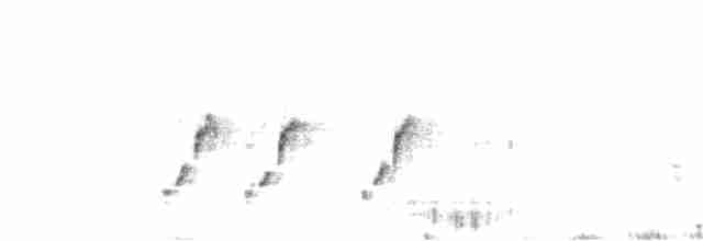 Australian Reed Warbler - ML178416401
