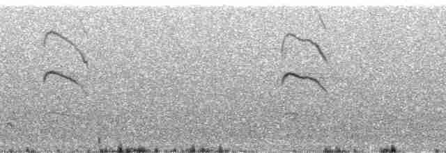 Ochre-browed Thistletail - ML178445