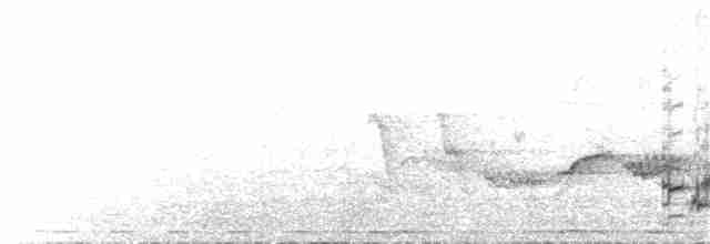 Kara Karınlı Sığırcık - ML178445611