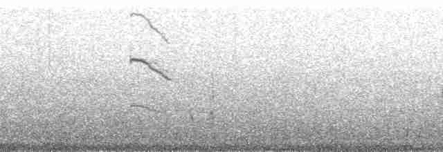 Ochre-browed Thistletail - ML178451