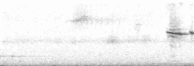 Кустарниковая эуфония - ML178454971