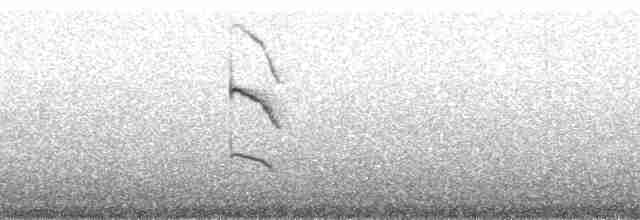 Ochre-browed Thistletail - ML178457