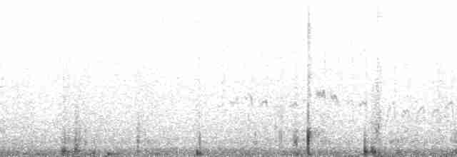 Ochre-browed Thistletail - ML178458