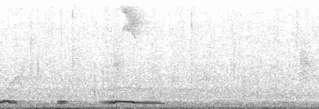 Tourterelle à ailes blanches - ML178496
