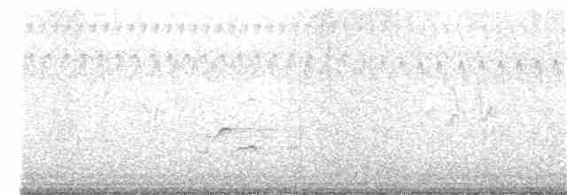 kulík hnědokřídlý - ML178498721