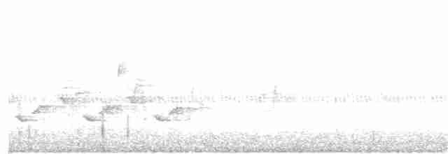 Каролинский крапивник - ML178504641