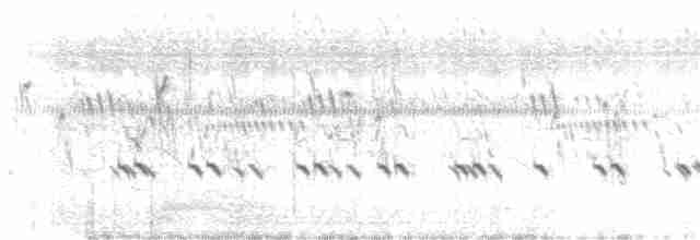 白喉文鳥 - ML178521901