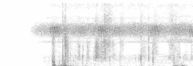 holub srílanský - ML178524711