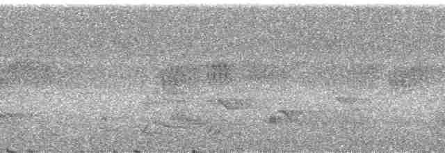 Сероголовая дроздовка - ML178533