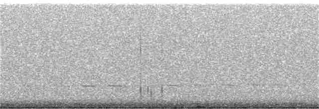 Spotted Nightjar - ML178543611
