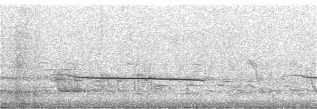 Black-eared Cuckoo - ML178549881
