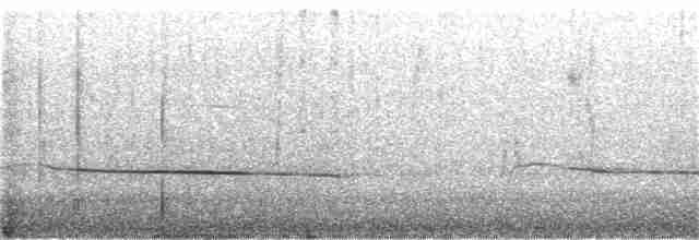 Black-eared Cuckoo - ML178549891